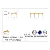Abri 2 pentes Bois Douglas France Carport Auvent voiture 400x950cm H 250cm