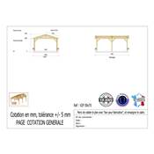 Abri 2 pentes Bois Douglas France Carport Auvent voiture 500x700cm H 250cm