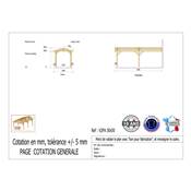 Abri 2 pentes Adossé Bois Douglas France Carport Auvent voiture 300x500cm H 250cm