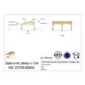 Abri 2 pentes Faitage Décalé Bois Douglas France Carport Auvent voiture 500x750cm H 250cm