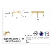 Abri 2 pentes Faitage Décalé Bois Douglas France Carport Auvent voiture 550x700cm H 250cm