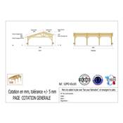 Abri 2 pentes Faitage Décalé Bois Douglas France Carport Auvent voiture 650x1050cm H 250cm