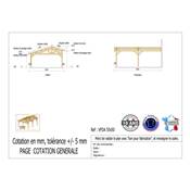 Abri 2 pentes Faitage Décalé Adossé Bois Douglas France Carport Auvent voiture 550x500cm H 250cm