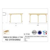 Abri Toit Plat Bois Douglas France Carport Auvent voiture 400x600cm H 250cm