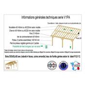 Abri 1 pente Adossé Bois Douglas France Carport Auvent voiture 300x1050cm H 250cm