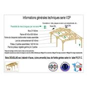 Abri 2 pentes Bois Douglas France Carport Auvent voiture 450x400cm H 250cm