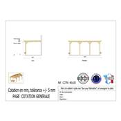 Abri Toit Plat Adossé Bois Douglas France Carport Auvent Camping-car 400x1050cm H 320cm