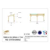 Abri 1 pente Bois Douglas France Carport Auvent voiture 300x650cm H 250cm