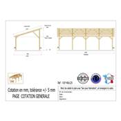 Abri 1 pente Bois Douglas France Carport Auvent voiture 400x1250cm H 250cm