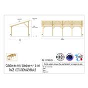 Abri 1 pente Bois Douglas France Carport Auvent voiture 450x1250cm H 250cm