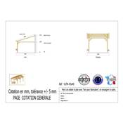Abri 1 pente Adossé Bois Douglas France Carport Auvent voiture 450x400cm H 250cm