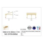 Abri 1 pente Adossé Bois Douglas France Carport Auvent voiture 500x500cm H 250cm