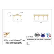 Abri 2 pentes Bois Douglas France Carport Auvent voiture 450x1050cm H 250cm