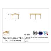 Abri 2 pentes Bois Douglas France Carport Auvent voiture 450x650cm H 250cm