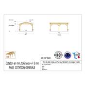 Abri 2 pentes Bois Douglas France Carport Auvent voiture 500x650cm H 250cm