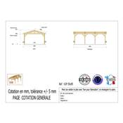 Abri 2 pentes Bois Douglas France Carport Auvent voiture 550x950cm H 250cm