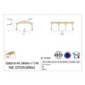 Abri 2 pentes Bois Douglas France Carport Auvent voiture 600x950cm H 250cm