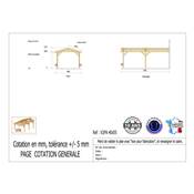 Abri 2 pentes Adossé Bois Douglas France Carport Auvent voiture 400x550cm H 250cm