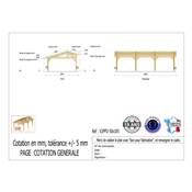 Abri 2 pentes Faitage Décalé Bois Douglas France Carport Auvent voiture 500x1050cm H 250cm