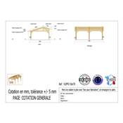 Abri 2 pentes Faitage Décalé Bois Douglas France Carport Auvent voiture 500x700cm H 250cm