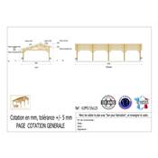 Abri 2 pentes Faitage Décalé Bois Douglas France Carport Auvent voiture 550x450cm H 250cm