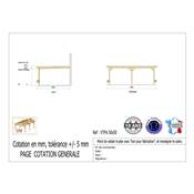 Abri Toit Plat Adossé Bois Douglas France Carport Auvent voiture 500x500cm H 250cm