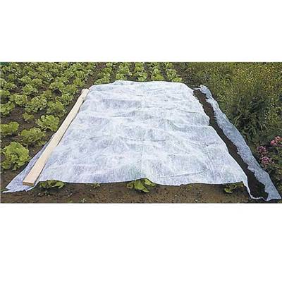 Voile croissance hivernage 1x25m 60g/m2 blanc