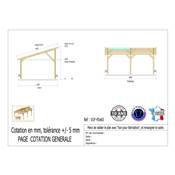 Abri 1 pente Bois Douglas France Carport Auvent voiture 450x600cm H 250cm