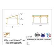 Abri 1 pente Bois Douglas France Carport Auvent voiture 500x700cm H 250cm