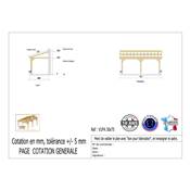 Abri 1 pente Adossé Bois Douglas France Carport Auvent voiture 300x750cm H 250cm