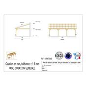 Abri 1 pente Adossé Bois Douglas France Carport Auvent voiture 500x800cm H 250cm