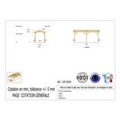 Abri 2 pentes Bois Douglas France Carport Auvent voiture 300x500cm H 250cm