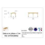 Abri 2 pentes Bois Douglas France Carport Auvent voiture 350x750cm H 250cm