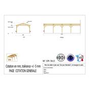 Abri 2 pentes Adossé Bois Douglas France Carport Auvent voiture 500x1150cm H 250cm