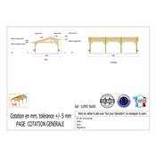 Abri 2 pentes Faitage Décalé Bois Douglas France Carport Auvent voiture 500x950cm H 250cm