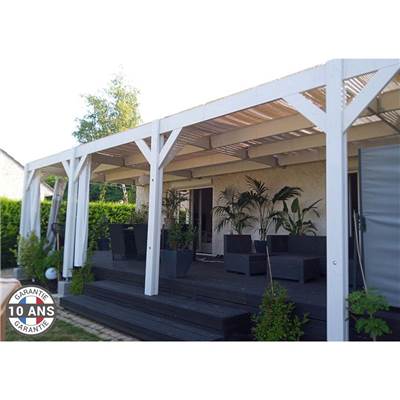 Abri Toit Plat Adossé Bois Douglas France Carport Auvent voiture 300x800cm H 250cm