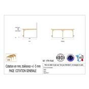 Abri Toit Plat Adossé Bois Douglas France Carport Auvent voiture 450x600cm H 250cm