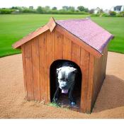 Niche pour chiens, toit bitumé bois FSC