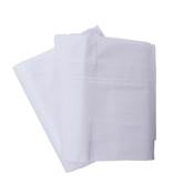 Voile croissance hivernage 2x5m 60g/m2 blanc