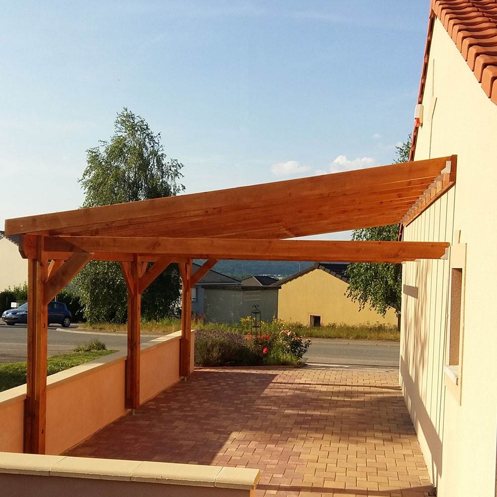 Abri une pente, 450cmx750cm, bois douglas francais, carport