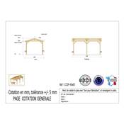 Abri 2 pentes Bois Douglas France Carport Auvent Camping-car 450x650cm H 320cm