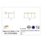 Abri Toit Plat Adossé Bois Douglas France Carport Auvent Camping-car 500x950cm H 320cm