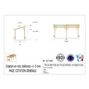 Abri 1 pente Bois Douglas France Carport Auvent voiture 300x600cm H 250cm