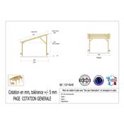 Abri 1 pente Bois Douglas France Carport Auvent voiture 400x400cm H 250cm