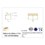 Abri 1 pente Adossé Bois Douglas France Carport Auvent voiture 350x500cm H 250cm