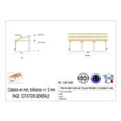 Abri 1 pente Adossé Bois Douglas France Carport Auvent voiture 350x800cm H 250cm