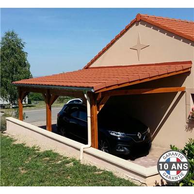 Abri 1 pente Adossé Bois Douglas France Carport Auvent voiture 400x550cm H 250cm