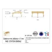 Abri 2 pentes Faitage Décalé Bois Douglas France Carport Auvent voiture 550x600cm H 250cm