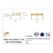 Abri 2 pentes Faitage Décalé Bois Douglas France Carport Auvent voiture 600x650cm H 250cm