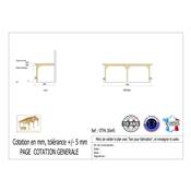 Abri Toit Plat Adossé Bois Douglas France Carport Auvent voiture 300x450cm H 250cm